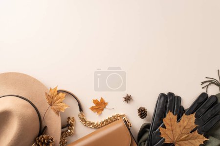 Téléchargez les photos : Embrassez l'esprit de l'automne avec des vêtements élégants et chauds : sac à main, chapeau en feutre, gants et écharpe sur la photo de vue du dessus sur un fond blanc isolé, offrant un espace pour le texte ou la publicité - en image libre de droit