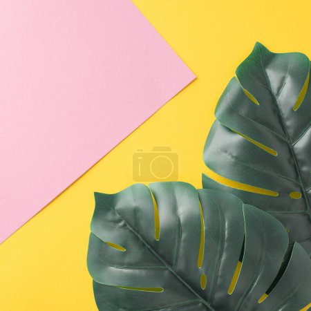 Imagen brillante y colorida con hojas de monstera verde fresco contra un marcado contraste de fondo dividido rosa y amarillo, que simboliza vibración y vibraciones de verano