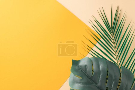 A creative display of lush green tropical palm and monstera leaves artfully arranged on a dual-tone yellow and beige background