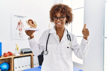 Photo for Young african american doctor woman holding anatomical model of female uterus with fetus smiling happy and positive, thumb up doing excellent and approval sign - Royalty Free Image