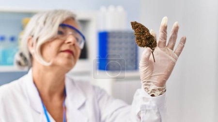 Photo for Middle age woman wearing scientist uniform holding marihuana at laboratory - Royalty Free Image