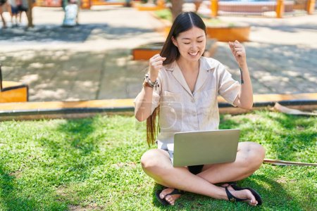 Photo for Chinese woman using laptop with winner expression at park - Royalty Free Image