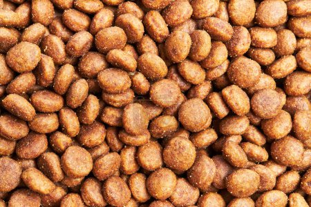 Photo for Delicious group of dog food balls texture - Royalty Free Image