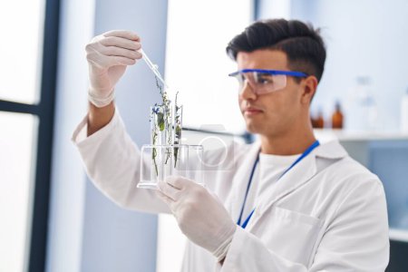 Photo for Young hispanic man scientist holding test tube with plant at laboratory - Royalty Free Image