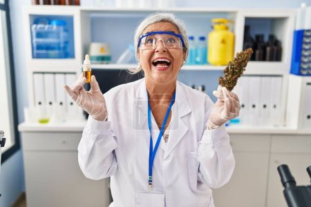 Foto de Mujer de mediana edad con pelo gris haciendo extracción de aceite de hierba en el laboratorio enojado y loco gritando frustrado y furioso, gritando con ira mirando hacia arriba. - Imagen libre de derechos