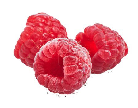 Photo for Delicious group of raspberries over isolated white background - Royalty Free Image