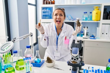 Foto de Young hispanic woman doing weed oil extraction at laboratory angry and mad screaming frustrated and furious, shouting with anger looking up. - Imagen libre de derechos