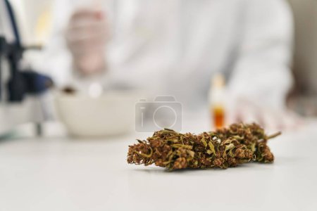 Photo for Young latin man scientist pouring liquid on cannabis herb sample at street - Royalty Free Image