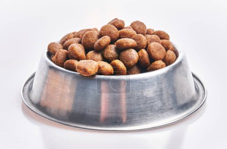 Téléchargez les photos : Délicieux bol de boules de nourriture pour chien sur fond blanc isolé - en image libre de droit