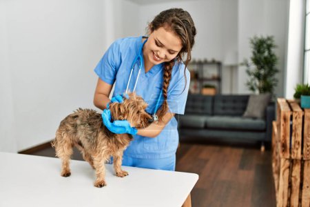 Photo for Young beautiful hispanic woman veterinarian smiling confident examining dog at home - Royalty Free Image