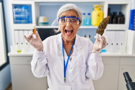 Téléchargez les photos : Femme d'âge moyen avec des cheveux gris faisant extraction d'huile d'herbe au laboratoire souriant et riant fort à haute voix parce que drôle blague folle. - en image libre de droit