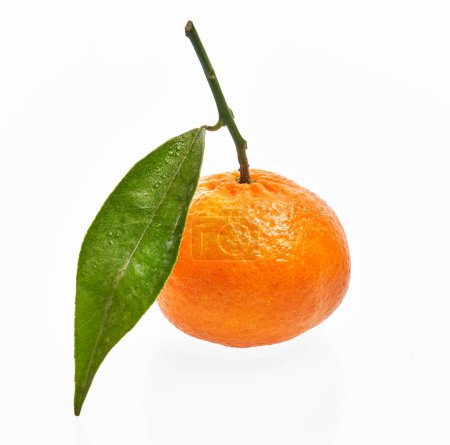 Photo for Delicious single tangerine over isolated white background - Royalty Free Image