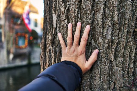 Photo for Hand of man touching tree at park - Royalty Free Image