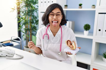 Photo for Young hispanic doctor woman holding anatomical model of uterus with fetus and birth control pills sticking tongue out happy with funny expression. - Royalty Free Image