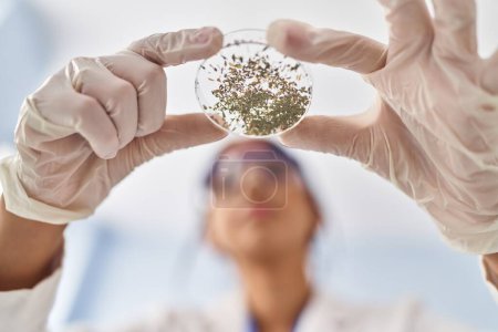 Photo for Young latin woman wearing scientist uniform holding herb sample at laboratory - Royalty Free Image