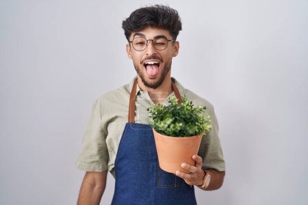 Foto de Arab man with beard holding green plant pot sticking tongue out happy with funny expression. emotion concept. - Imagen libre de derechos