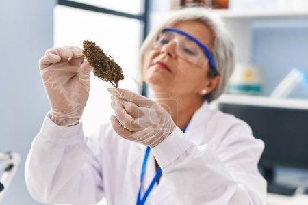Téléchargez les photos : Femme d'âge moyen portant un uniforme scientifique tenant de la marihuana au laboratoire - en image libre de droit