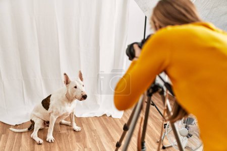 Foto de Joven mujer caucásica fotógrafa haciendo foto a perro en estudio de fotografía - Imagen libre de derechos