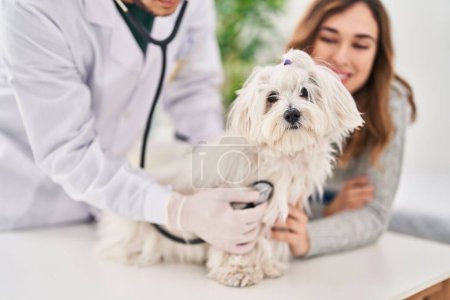 Photo for Man and woman veterinarian auscultating dog at veterinary clinic - Royalty Free Image