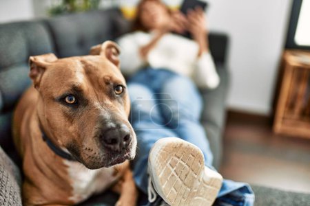 Téléchargez les photos : Jeune femme caucasienne utilisant pavé tactile couché sur le canapé avec chien à la maison - en image libre de droit