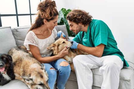 Foto de Hombre y mujer vistiendo uniforme veterinario examinando perro oído en casa - Imagen libre de derechos