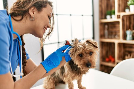 Foto de Joven hermosa mujer hispana veterinario examinando perro con otoscopio en casa - Imagen libre de derechos
