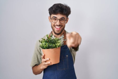 Téléchargez les photos : Homme arabe avec barbe tenant pot de plante verte pointant vers vous et la caméra avec les doigts, souriant positif et joyeux - en image libre de droit