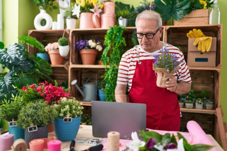 Photo for Middle age grey-haired man florist using laptop holding plant at flower shop - Royalty Free Image