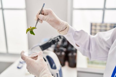 Photo for Young caucasian man scientist holding herb with tweezers at laboratory - Royalty Free Image