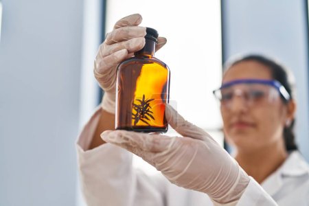 Foto de Young hispanic woman wearing scientist uniform looking herb on bottle at laboratory - Imagen libre de derechos