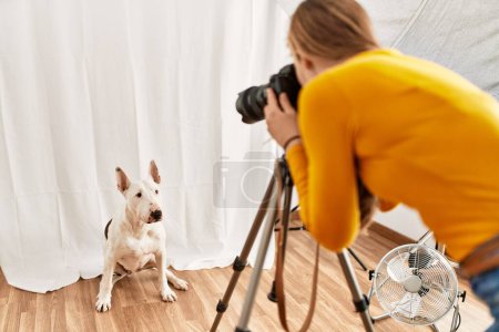 Photo for Young caucasian woman photographer making photo to dog at photography studio - Royalty Free Image