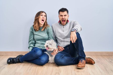 Téléchargez les photos : Jeune couple hispanique assis sur le sol avec chien en colère et fou hurlant frustré et furieux, criant de colère. rage et concept agressif. - en image libre de droit
