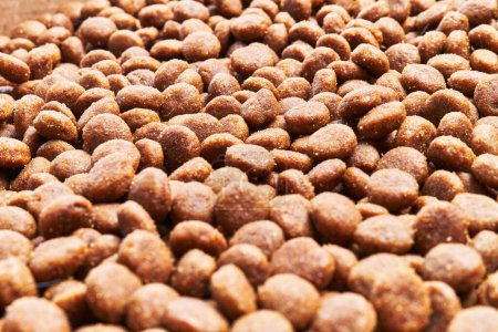 Photo for Delicious group of dog food balls texture - Royalty Free Image