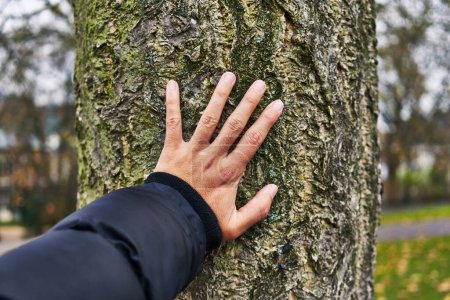 Photo for Hand of man touching tree at park - Royalty Free Image