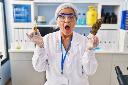 Photo for Middle age woman with grey hair doing weed oil extraction at laboratory in shock face, looking skeptical and sarcastic, surprised with open mouth - Royalty Free Image
