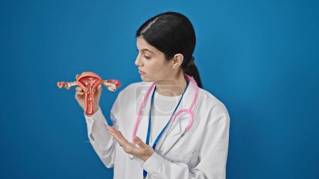 Téléchargez les photos : Jeune belle hispanique femme gynécologue tenant modèle anatomique de l'utérus sur fond bleu isolé - en image libre de droit