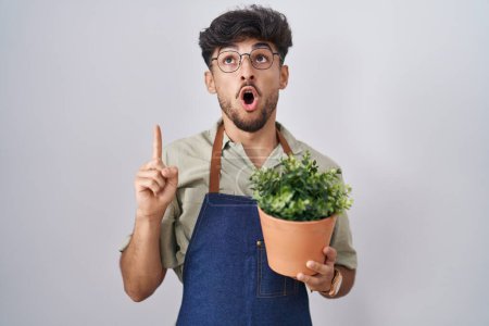 Téléchargez les photos : Homme arabe avec barbe tenant pot de plante verte étonné et surpris regardant vers le haut et pointant avec les doigts et les bras levés. - en image libre de droit