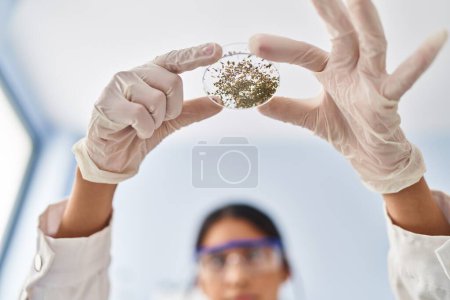 Photo for Young latin woman wearing scientist uniform holding herb sample at laboratory - Royalty Free Image
