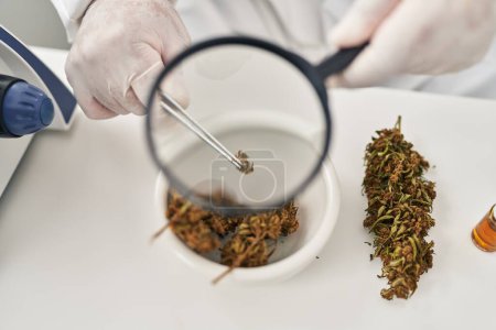 Téléchargez les photos : Jeune homme latin scientifique regardant herbe de cannabis avec loupe au laboratoire - en image libre de droit