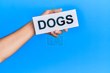 Foto de Mano de hombre caucásico sosteniendo papel con perros palabra sobre fondo azul aislado - Imagen libre de derechos