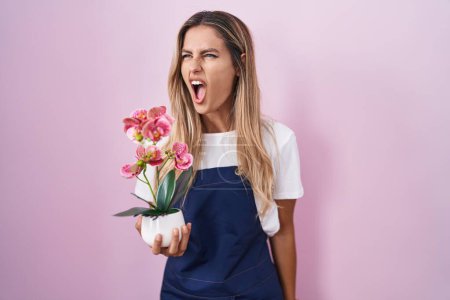 Foto de Mujer rubia joven vistiendo delantal jardinero sosteniendo planta enojada y loca gritando frustrada y furiosa, gritando con ira. rabia y concepto agresivo. - Imagen libre de derechos