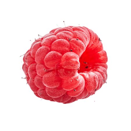 Photo for Delicious single raspberry over isolated white background - Royalty Free Image