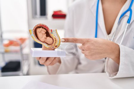 Foto de Joven hermosa mujer hispana ginecóloga apuntando al modelo anatómico del feto en la clínica - Imagen libre de derechos