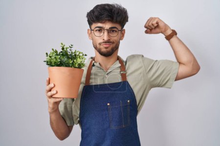 Photo for Arab man with beard holding green plant pot strong person showing arm muscle, confident and proud of power - Royalty Free Image