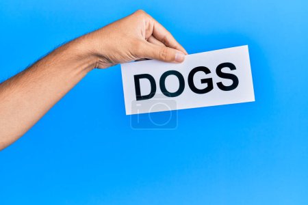 Téléchargez les photos : Main d'homme caucasien tenant du papier avec des chiens mot sur fond bleu isolé - en image libre de droit