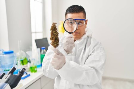 Photo for Young latin man scientist looking cannabis herb with loupe at laboratory - Royalty Free Image