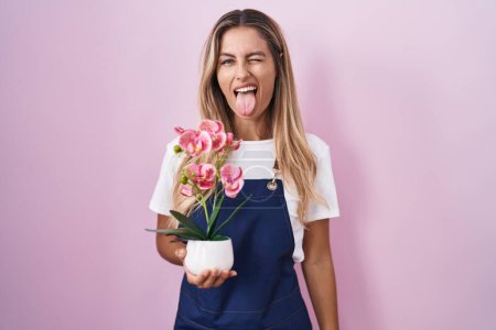 Foto de Mujer rubia joven con delantal de jardinero sosteniendo la planta sacando la lengua feliz con expresión divertida. concepto de emoción. - Imagen libre de derechos