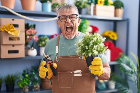 Photo for Hispanic man with grey hair working at florist shop angry and mad screaming frustrated and furious, shouting with anger. rage and aggressive concept. - Royalty Free Image