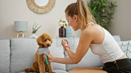 Photo for Young caucasian woman with dog combing hair at home - Royalty Free Image