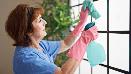 Téléchargez les photos : Femme d'âge moyen nettoyant professionnel lave-vitre maison - en image libre de droit